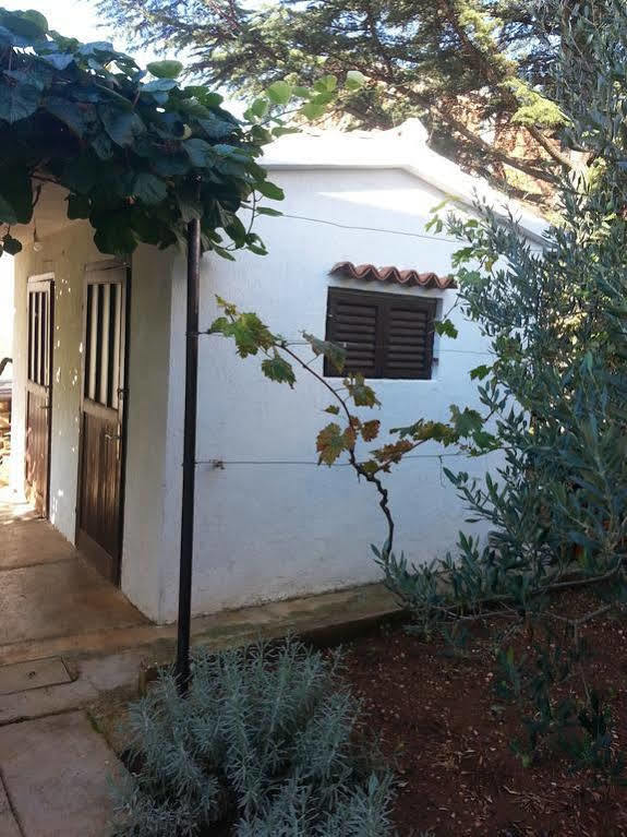 Apartments Martina Bibinje Exterior foto